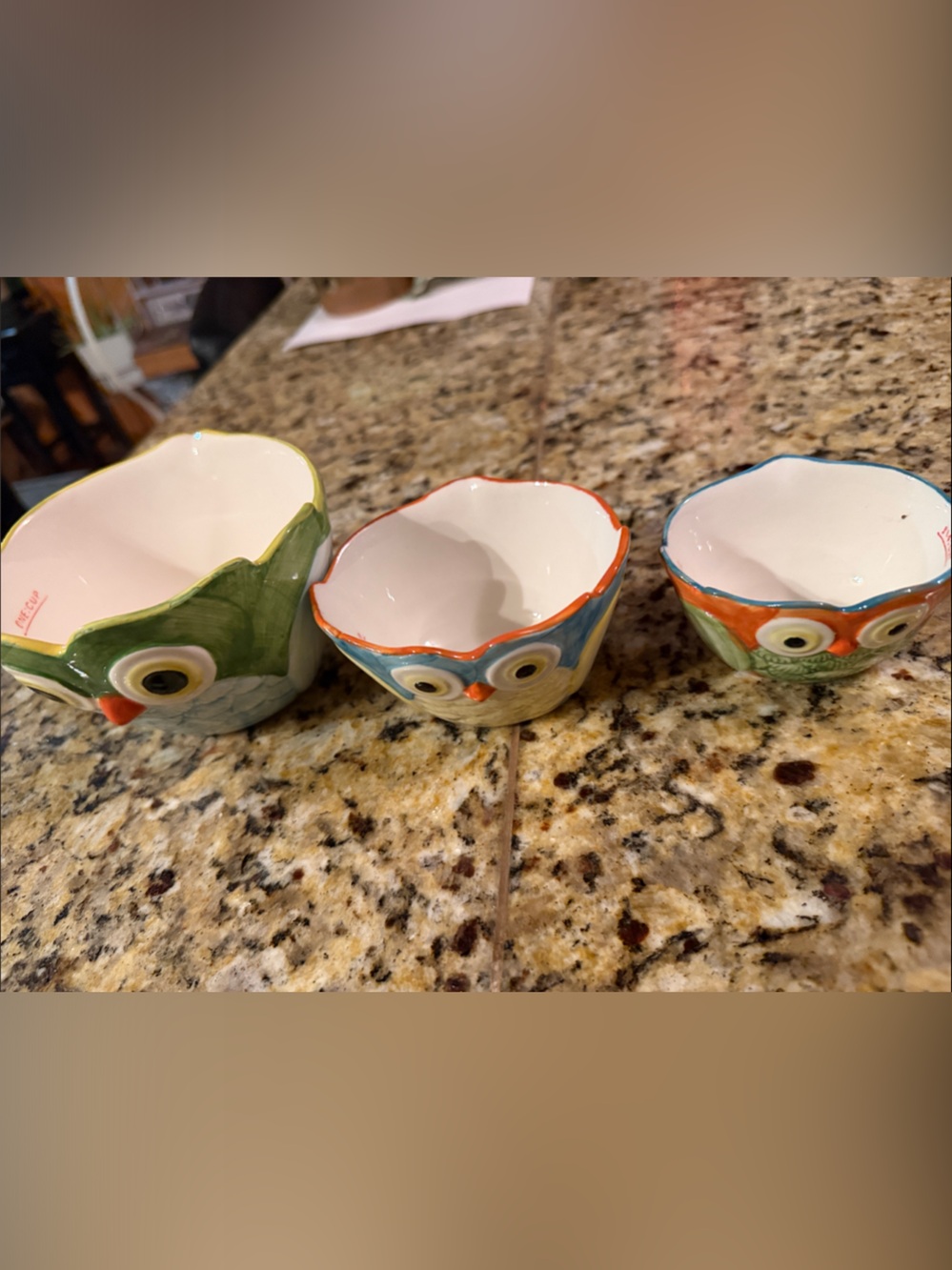 Pier 1 Owl Ceramic Nesting Bowls in Green and Blue